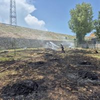 Van