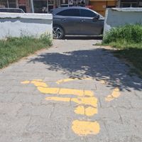 Van