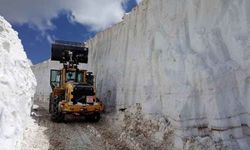 Van’da 53 yerleşim yerinin yolu ulaşıma kapandı