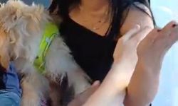Köpekle otobüse bindi, tepki gösteren yolcularla tartıştı