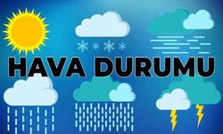 Van 15 Günlük Hava Durumu 