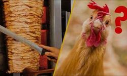 Tavuk Eti ve Yumurtası Üretimi Artış Gösterdi