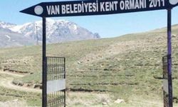 Van’ın Havası’da kirlendi, doğasıda