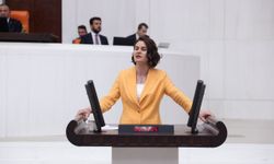 Van Milletvekili Sayyiğit: Kayyım seçme ve seçilme hakkına saldırıdır