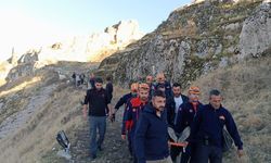 Van Kalesi’nden düşen kişi ağır yaralandı