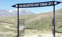 Ormansız Van'da "Orman Yangını" Uyarısı Dikkat Çekti