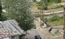 Van’da Yağmur Etkisi: Polenler Azaldı, Alerji Şikâyetlerinde Rahatlama Bekleniyor