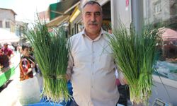 Van'da Dağ Otlarının Sezonu Uzadı: Tezgâhlar Hâlâ Şifalı Otlarla Dolu