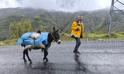Besicilerin yaylalara yolculuğu başladı