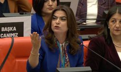 DEM Parti'den CHP Kararına Tepki: "Siyasal Partiler Yargı Eliyle Dizayn Edilemez"