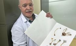 Van YYÜ'de 100 Bin Bitki Örneği Geleceğe Taşınıyor