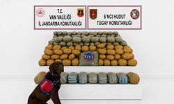 Van'da 291 kilogram toz esrar ele geçirildi