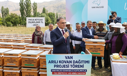 Van'da Arıcılığa Dev Yatırım: 150 Üreticiye yüzde 85 Hibeli Arılı Kovan Desteği!