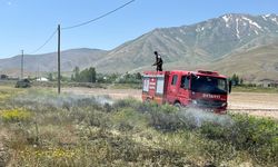 Van’da Kavurucu Sıcaklar Anız Yangını Riskini Artırıyor