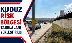 Van'da Kuduz Alarmı! Yüzlerce Noktaya "Kuduz Risk Bölgesi" Tabelası Yerleştirildi
