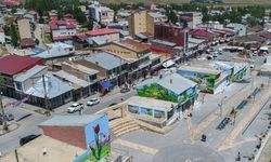 Van’da teyze çocukları arasında arazi kavgası, biri ağır 4 yaralı