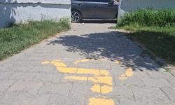 Engelli Geçidi Değil, Otopark Gibi Kullanılıyor!