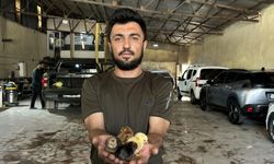 Belgeselden İlham Aldı, Kendi Üretimini Kurdu