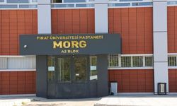 İş Makinesinin Altında Kalan İşçi Hayatını Kaybetti