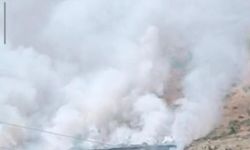 Bitlis'te Ormanlık Alanda Yangın Büyüyor