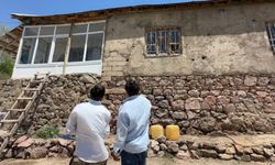Yılan İstilası Hayatı Kabusa Çevirdi