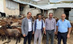 Küçükbaş Yetiştiricilerine Büyük Destek