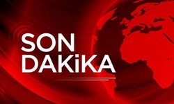 Van'da yürek yakan olay: Geri manevra yapan dede, 2 yaşındaki torununun ölümüne neden oldu