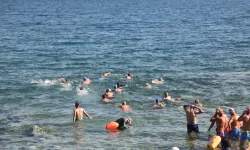 Van Gölü'nde Yaz Yoğunluğu Başladı