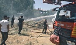 Van Edremit'te ot yangını