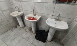 Van sahil yolundaki parkın tahrip edilmesine vatandaşlardan tepki