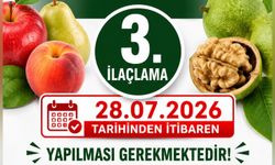Van'da Elma ve Ceviz Üreticilerine Kritik Uyarı! 3. İlaçlama Tarihi Açıklandı