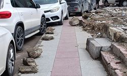 Van'da Yol Çilesi Bitmiyor!