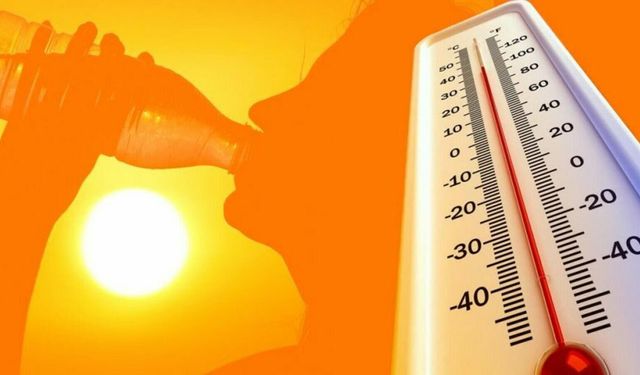 Van'da his edilen sıcaklıklar 30 dereceyi aştı