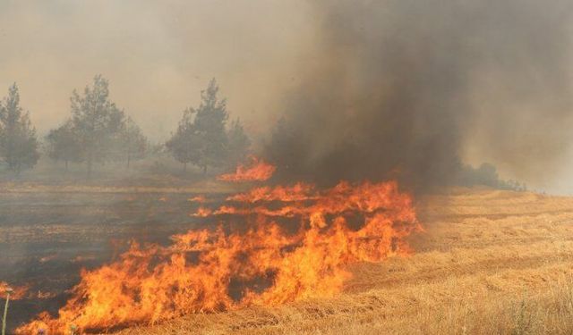 Van'da Et Süt Kurumu'nda Yangın