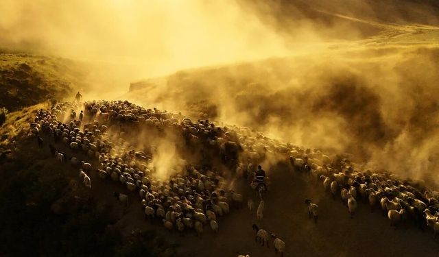 DAGC Gazetecilik Ödülleri Sahiplerini Buldu: Van’dan İki Önemli Başarı