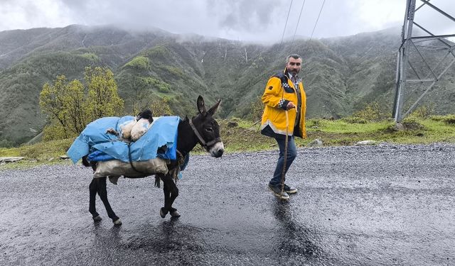 Besicilerin yaylalara yolculuğu başladı