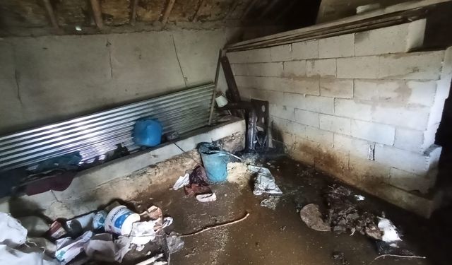 Van Muradiye'de ev ve ahır yangını
