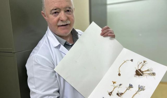 Van YYÜ'de 100 Bin Bitki Örneği Geleceğe Taşınıyor