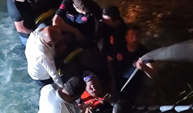 Van'da dereye düşen kamyonetin sürücüsü yaralandı