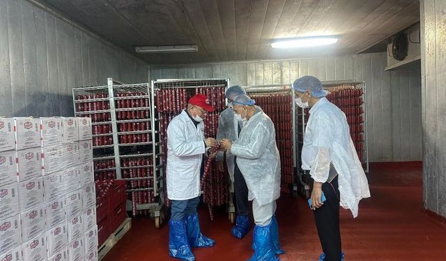 Van'ın Ekonomik Gücünü Artıracak İş Birlikleri Görüşüldü