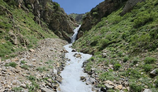 Çatak'ta kuruyan su kaynağı akmaya başladı