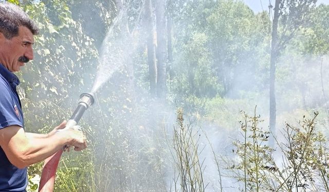 Van Edremit'te ağaçlık alanda yangın
