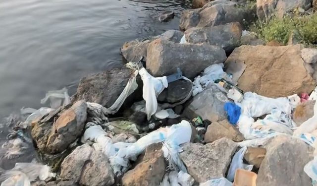 Van Gölü Sahilleri Çöplüğe Döndü! Görenler Tepki Gösterdi