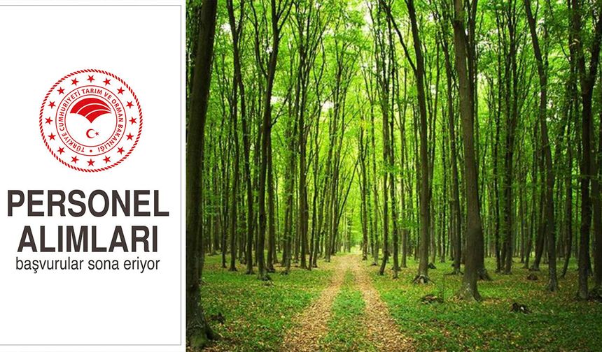 Tarım ve Orman Bakanlığı'nda 1.156 İŞKUR Alımı Başladı, Yeni Kadrolar da Yolda