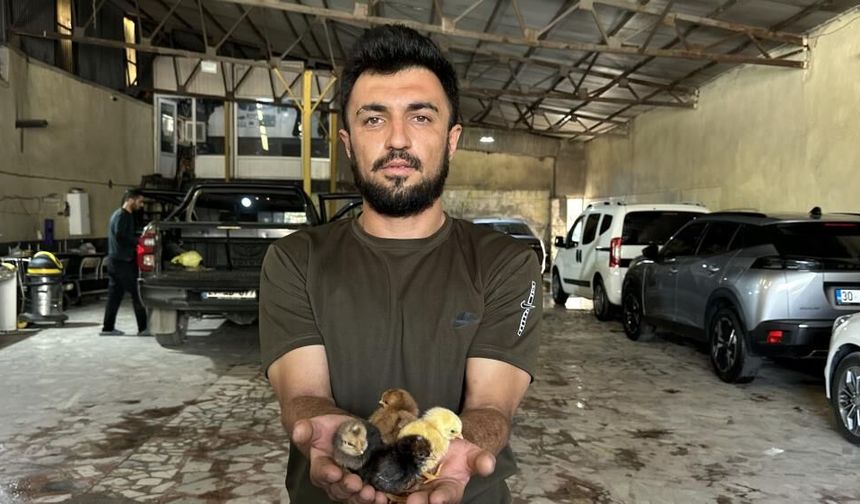 Belgeselden İlham Aldı, Kendi Üretimini Kurdu