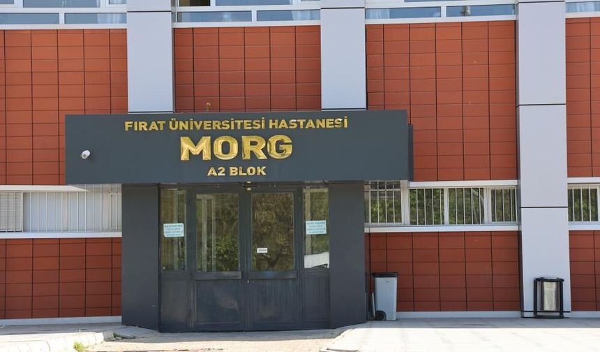 İş Makinesinin Altında Kalan İşçi Hayatını Kaybetti