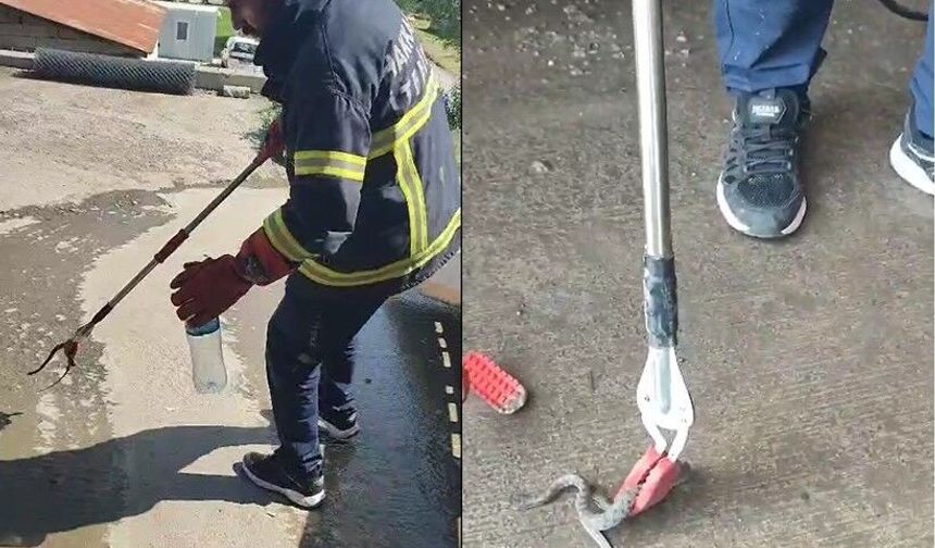 Aracın Motorundan 1 Metrelik Yılan Çıktı