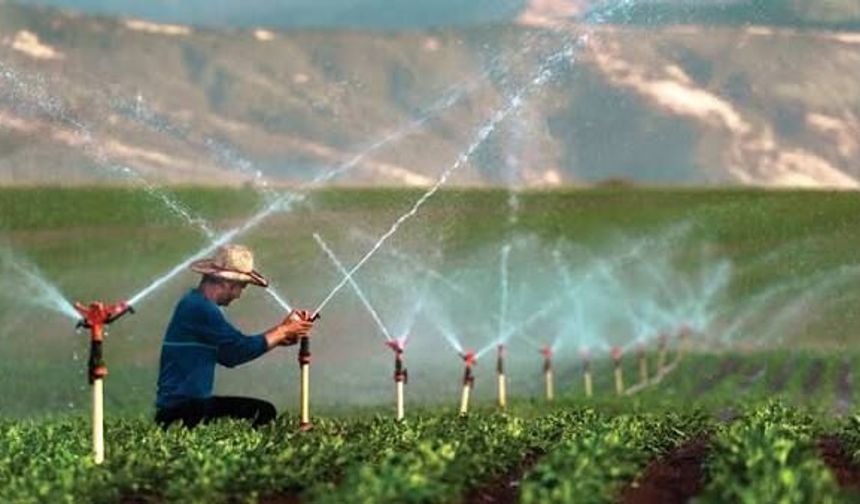 Kavurucu Sıcaklar Çiftçiyi Zorluyor: Sulama Mesaisi Arttı
