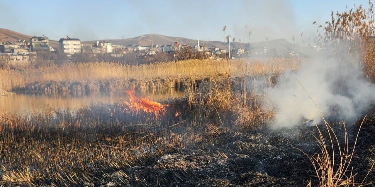 Sazlık