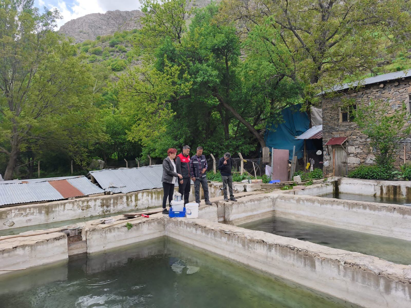 Bu Balığın Lezzeti Bir Başka Van Bahçesaray’da Alabalık Üretimi (2)